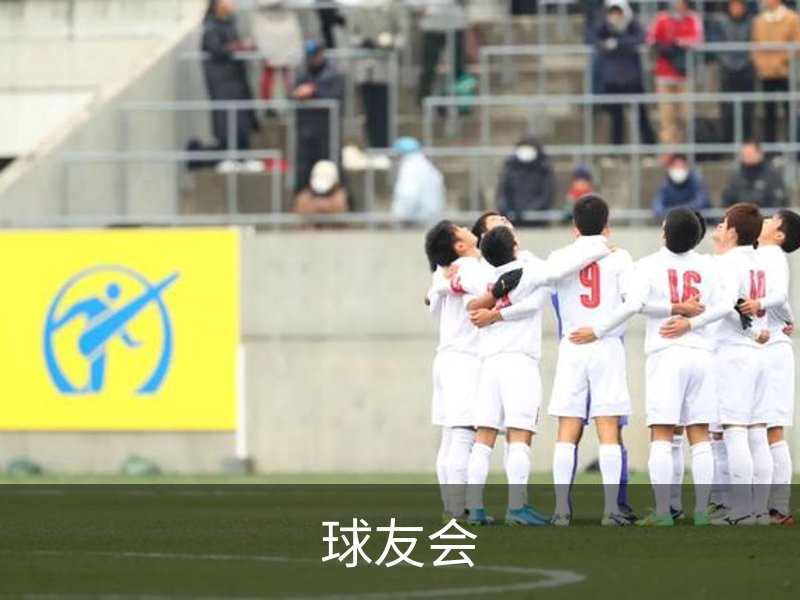 企业介绍